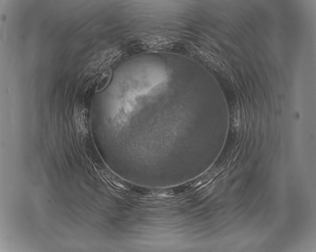 X0000075831346200609221630