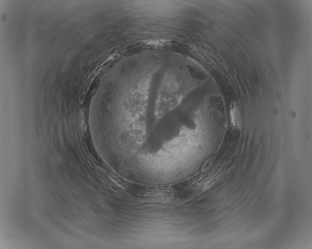 X0000075831347200609221629