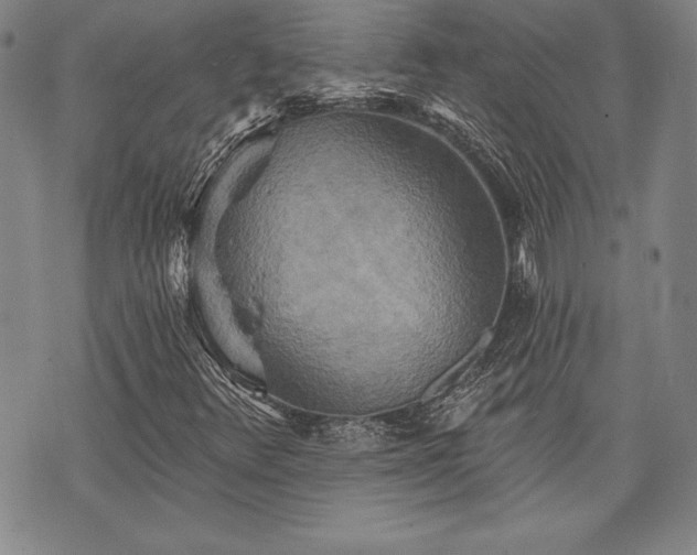 X0000075831348200609221629