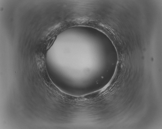 X0000075831349200609221629