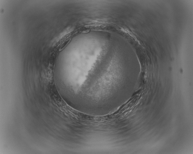 X0000075831350200609221629