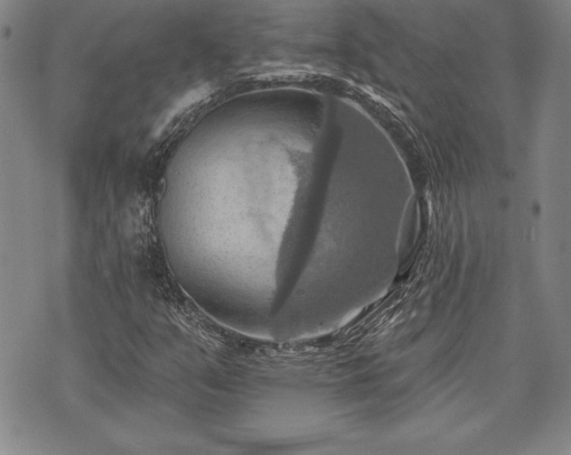 X0000075831351200609221629