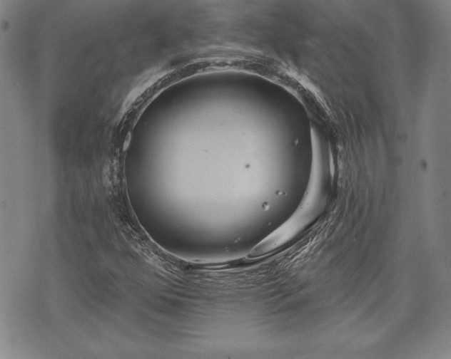 X0000075831352200609221629