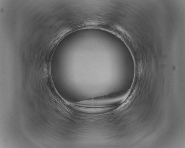 X0000075831353200609221629