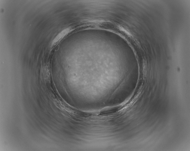 X0000075831354200609221629