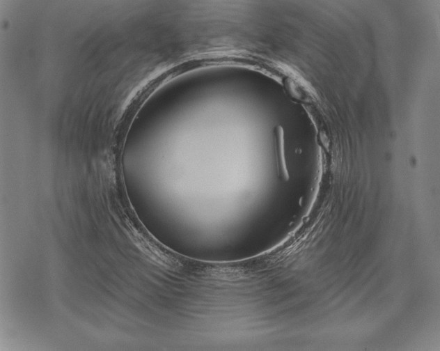 X0000075831356200609221629