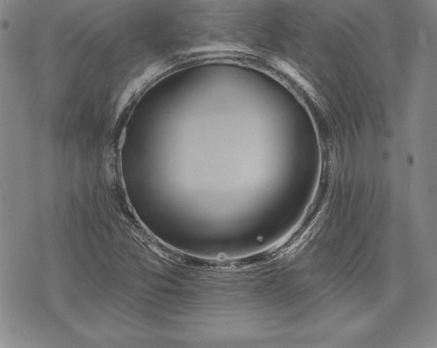 X0000075831357200609221629