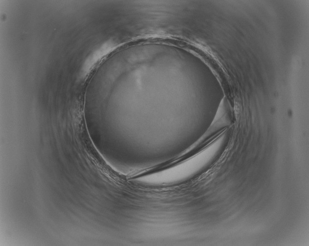 X0000075831359200609221629