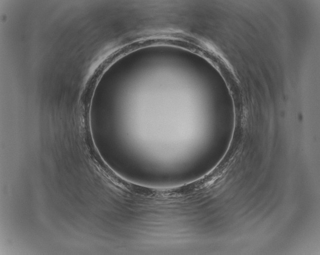 X0000075831360200609221629