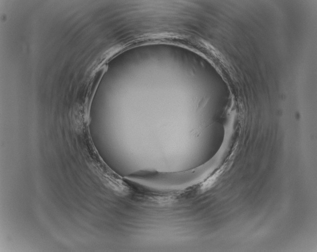 X0000075831361200609221629