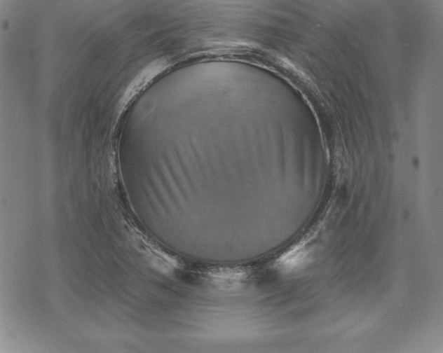 X0000075831362200609221629