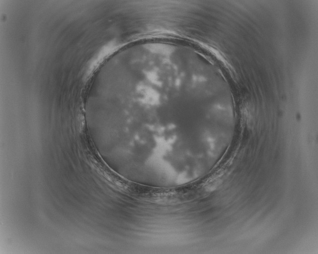 X0000075831363200609221629