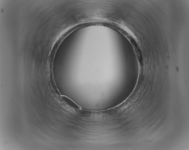 X0000075831364200609221629