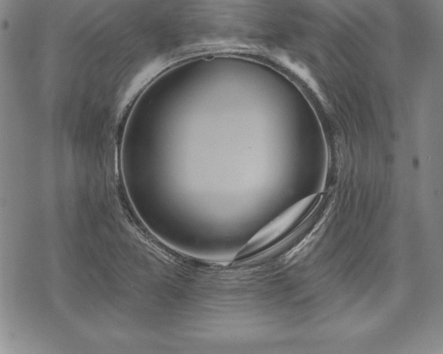 X0000075831365200609221629