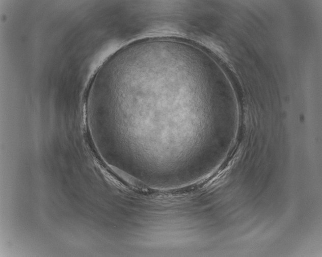 X0000075831366200609221629