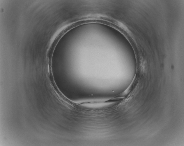 X0000075831368200609221629