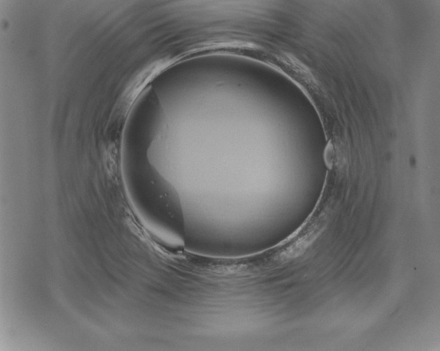 X0000075831369200609221629