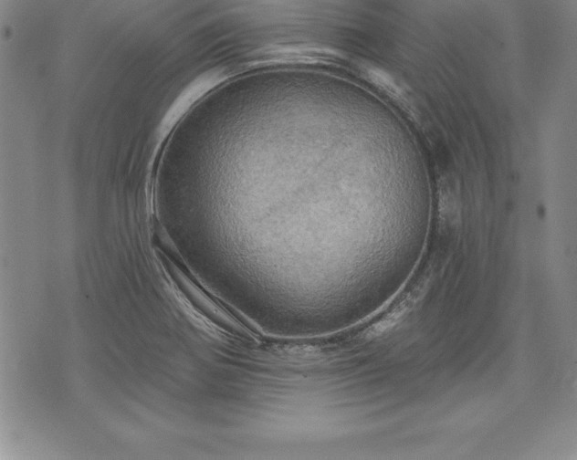 X0000075831370200609221629