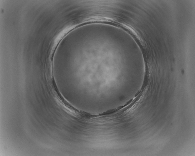 X0000075831371200609221629