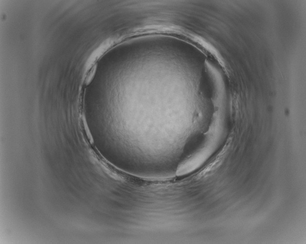 X0000075831373200609221629