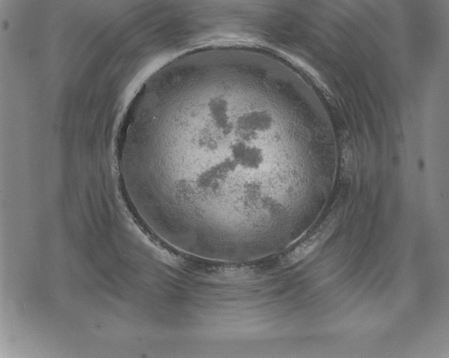 X0000075831375200609221629