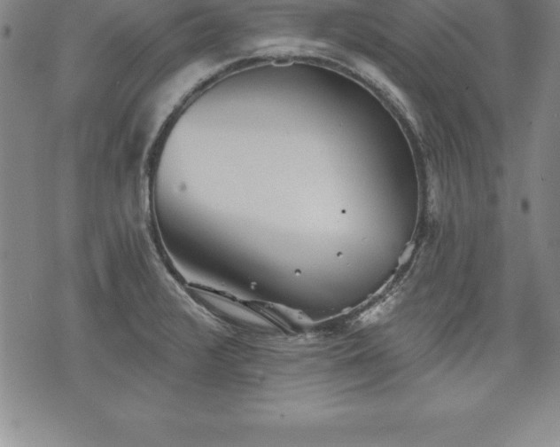 X0000075831376200609221629