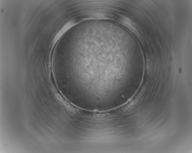 X0000075831378200609221629