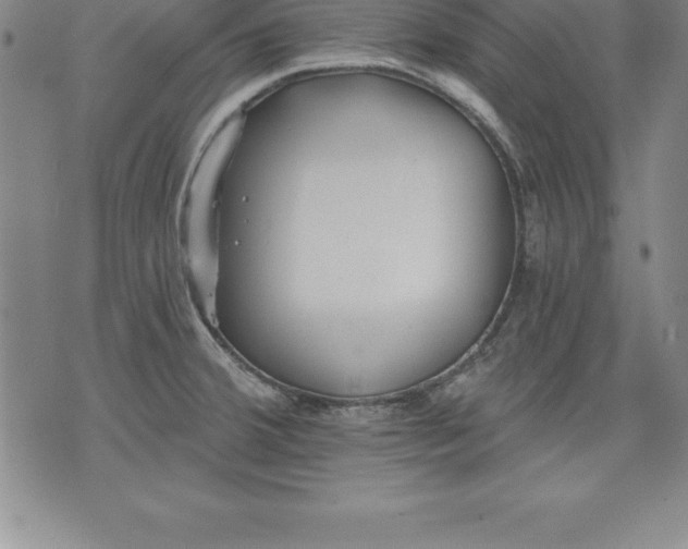 X0000075831380200609221629