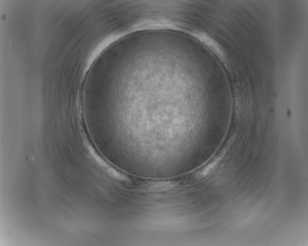 X0000075831382200609221629