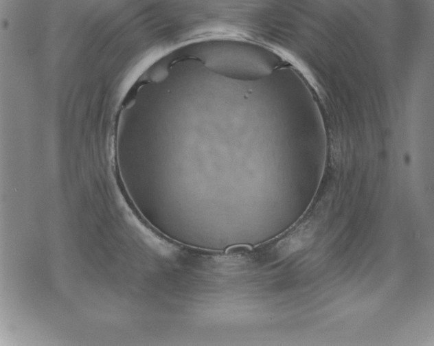 X0000075831383200609221629