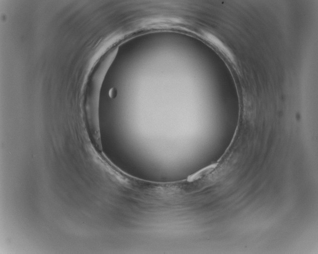 X0000075831384200609221629