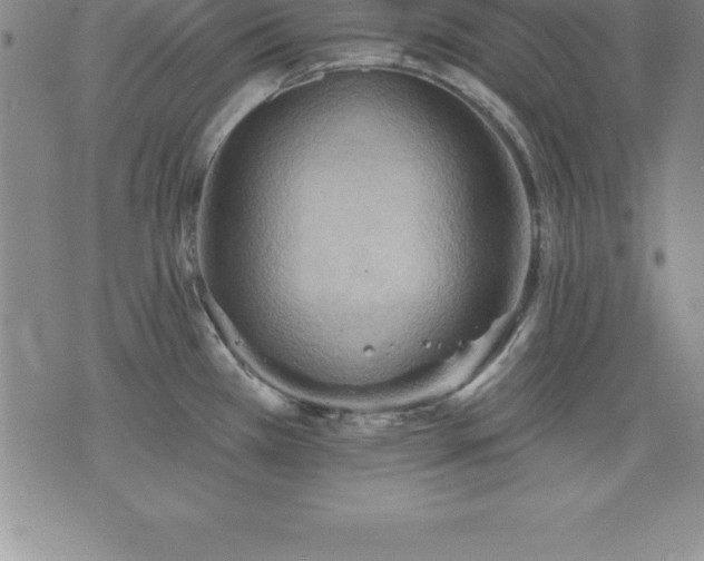 X0000075831385200609221629