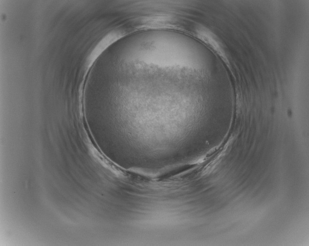 X0000075831386200609221629