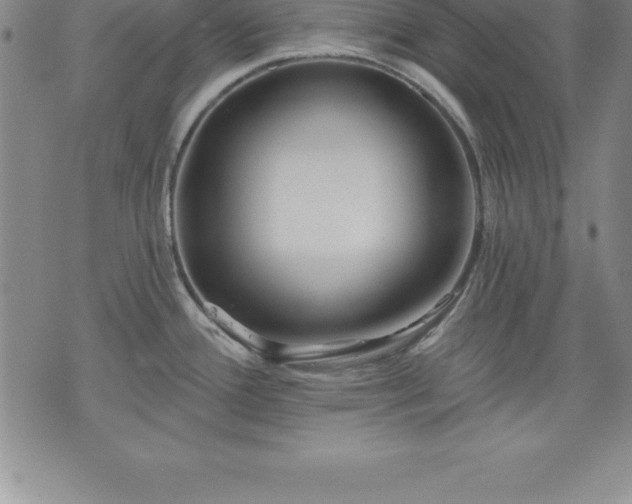 X0000075831388200609221629