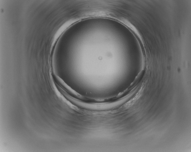 X0000075831389200609221629