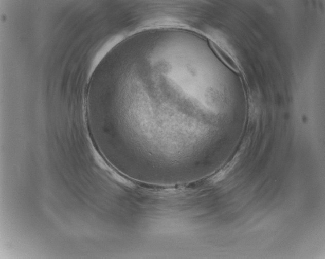 X0000075831390200609221629