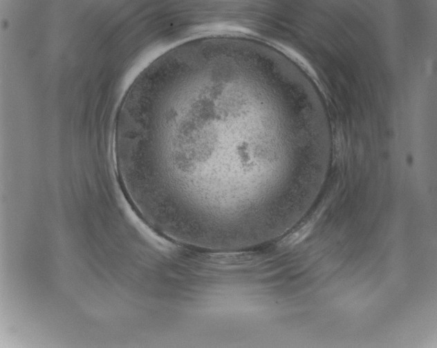 X0000075831391200609221629