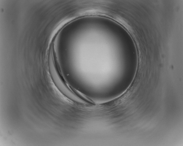 X0000075831392200609221629