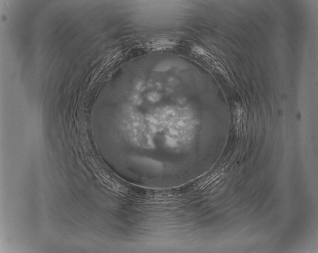 X0000075831393200609221628