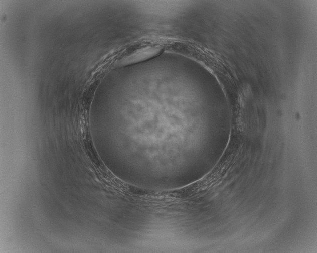 X0000075831397200609221628