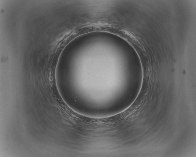 X0000075831398200609221628