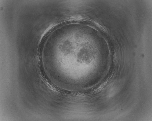 X0000075831400200609221628