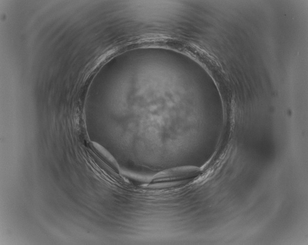 X0000075831401200609221628