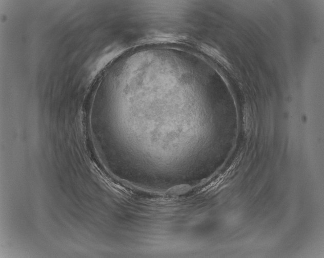 X0000075831404200609221628