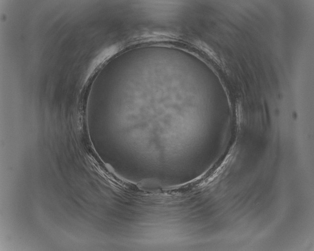 X0000075831405200609221628