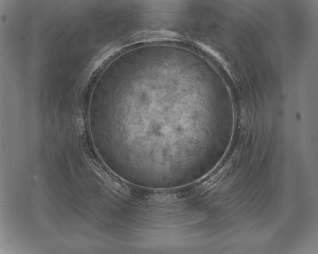 X0000075831407200609221628