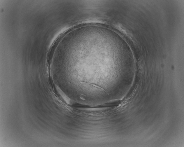 X0000075831408200609221628