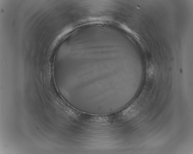 X0000075831411200609221628