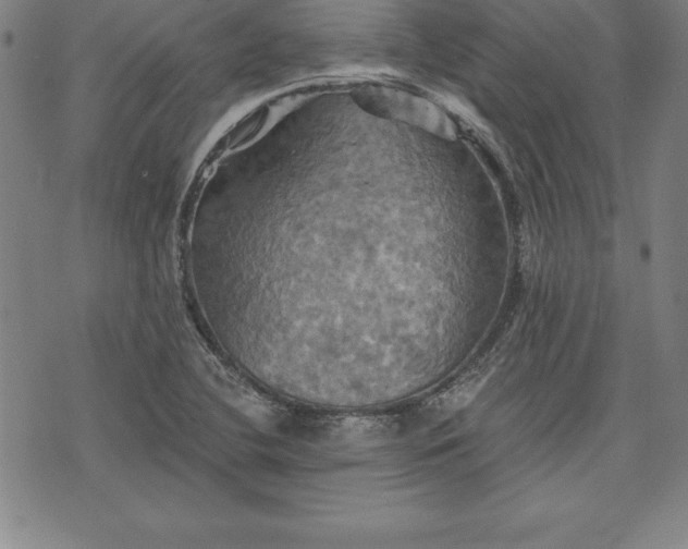 X0000075831412200609221628