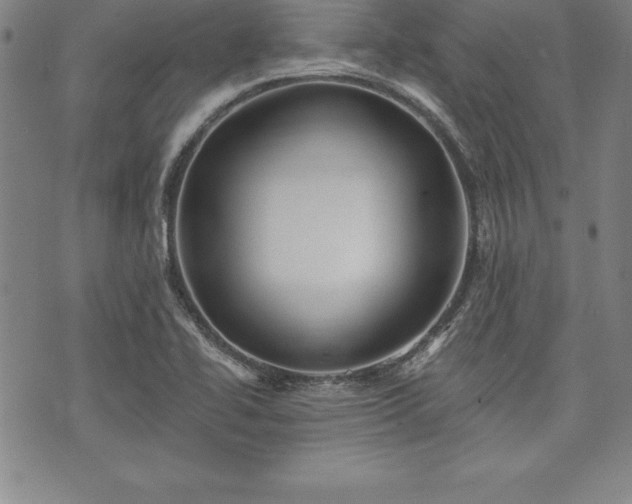 X0000075831414200609221628